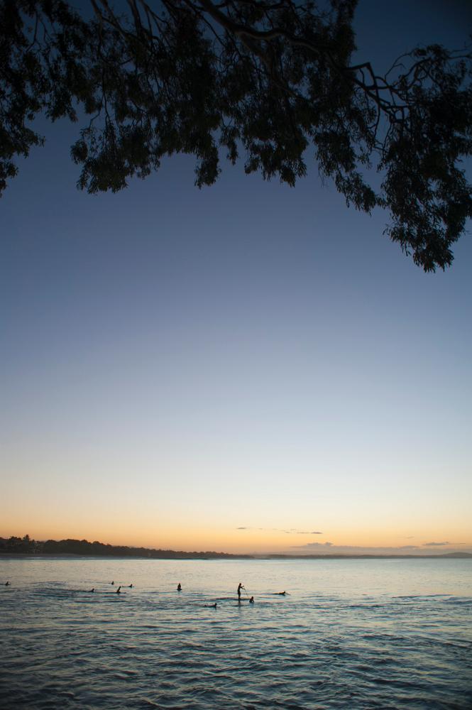 surfers